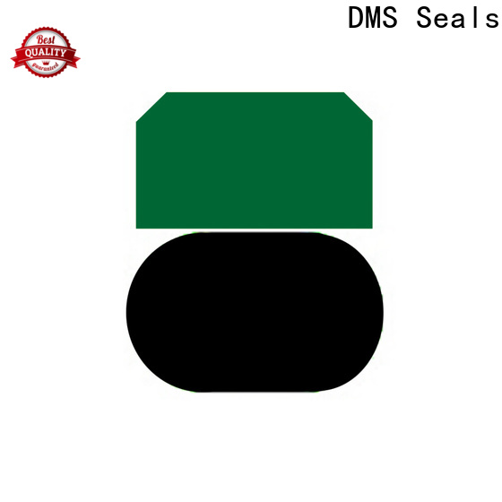 DMS Seals hydraulic cylinder piston seal leakage for sale