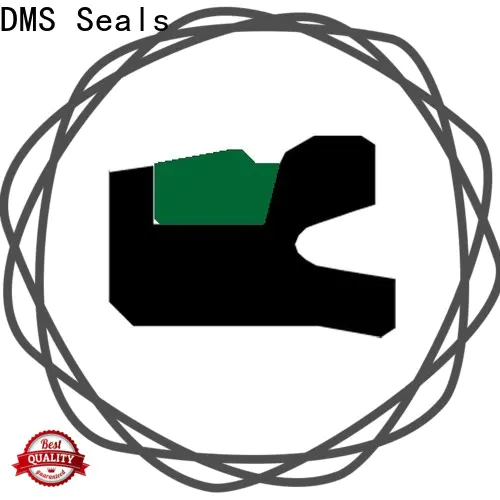 DMS Seals double acting seal supply for light and medium hydraulic systems