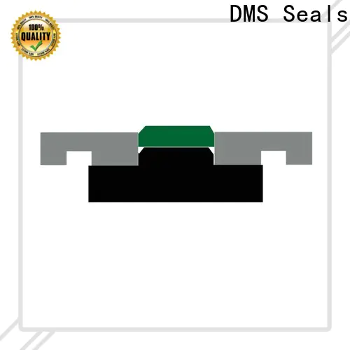 DMS Seals Top hydraulic cylinder piston seal leakage vendor for sale