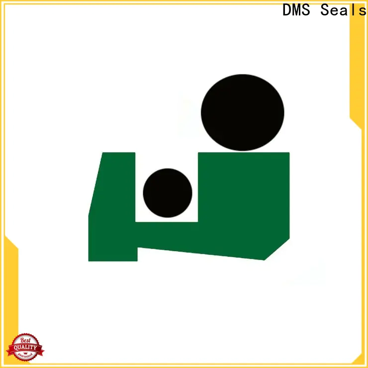 DMS Seals piston ring design guide factory for injection molding machines