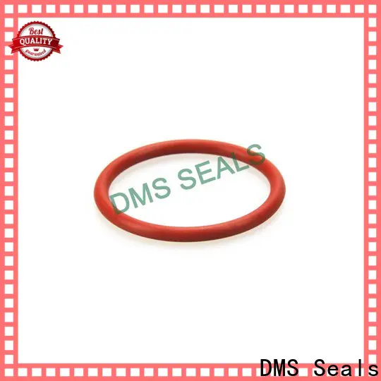 DMS Seals giant o ring in highly aggressive chemical processing