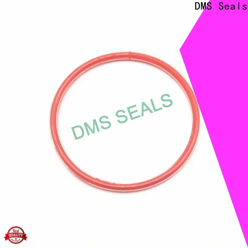 DMS Seals metric wiper seal supplier in highly aggressive chemical processing