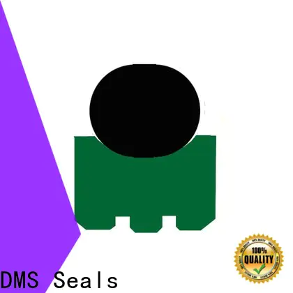 DMS Seals Wholesale miniature shaft seals price for automotive equipment