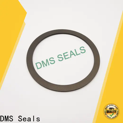 DMS Seals 3mm rubber gasket factory for liquefied gas