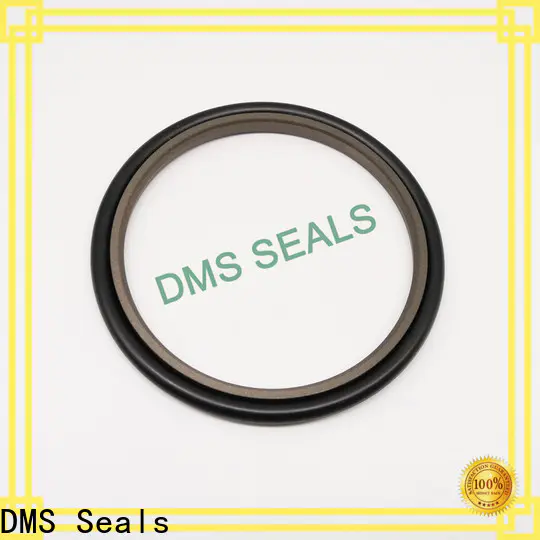 DMS Seals New rubber seal molding company for larger piston clearance
