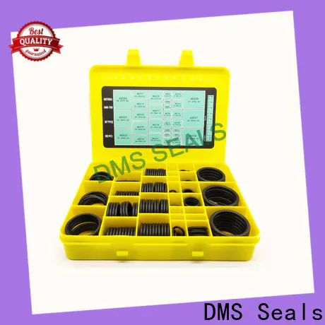 DMS Seals professional o ring seal kit supplier For sealing products