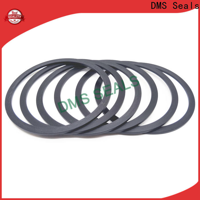 DMS Seals gasket material for gas factory for preventing the seal from being squeezed