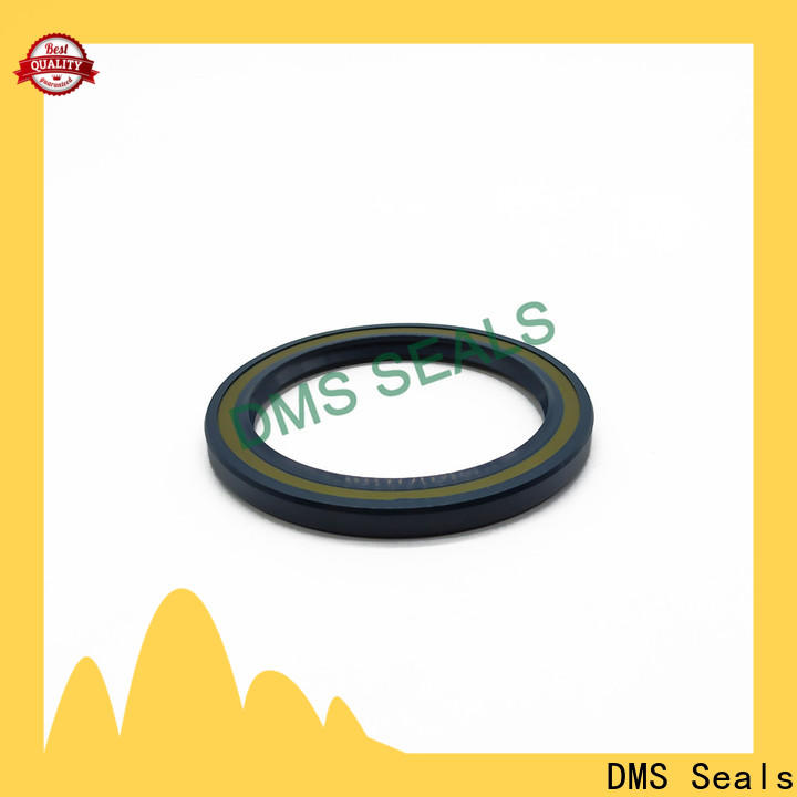 DMS Seals Bulk buy shaft seal for water pump supply for housing