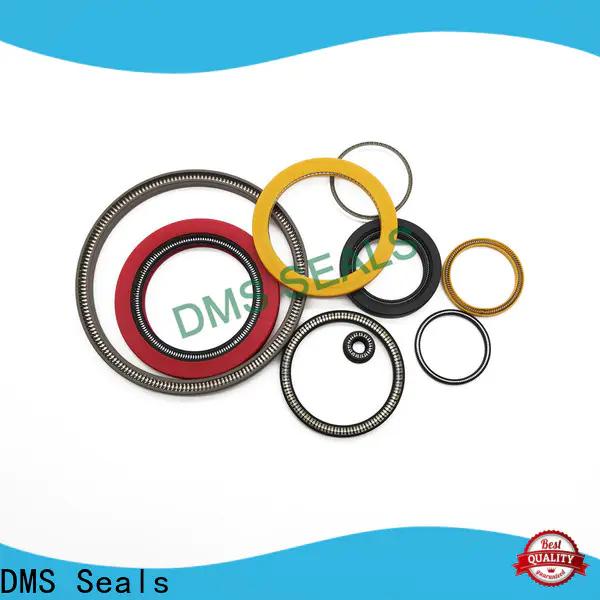 DMS Seals spring energized seal design supplier for reciprocating piston rod or piston single acting seal