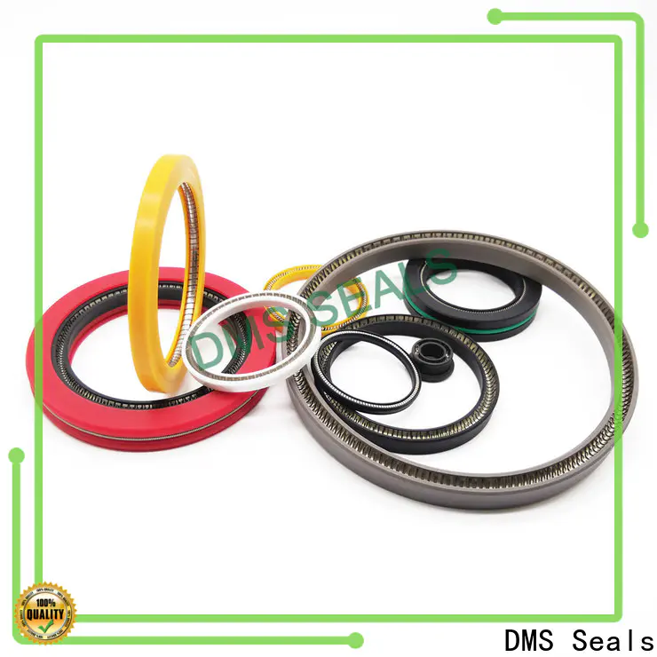 DMS Seals Top spiral spring gasket factory for reciprocating piston rod or piston single acting seal