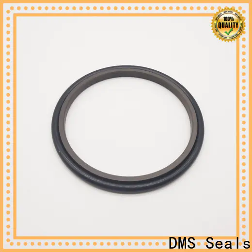 Buy mechanical shaft seal manufacturers factory for larger piston clearance