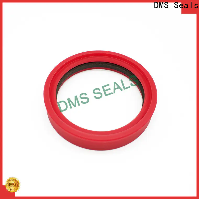 DMS Seals Customized rubber seal strip suppliers supply
