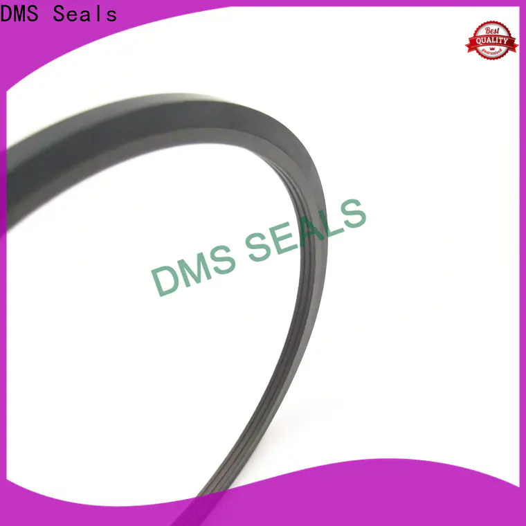 DMS Seals High-quality split oil seals suppliers wholesale for larger piston clearance