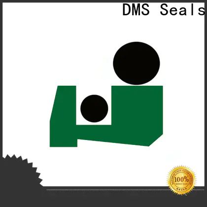 DMS Seals DMS Seals metal clad rod wiper seals cost for injection molding machine