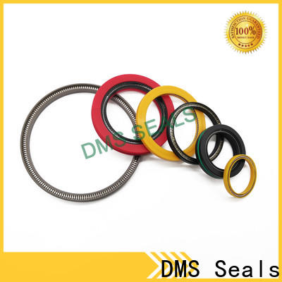 DMS Seals Custom made spring energized teflon seals price for choke lines