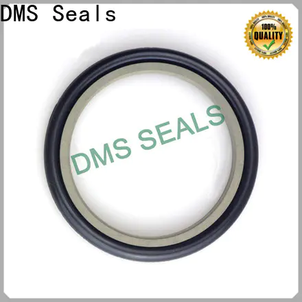 DMS Seals Top rubber seal strip suppliers company for larger piston clearance