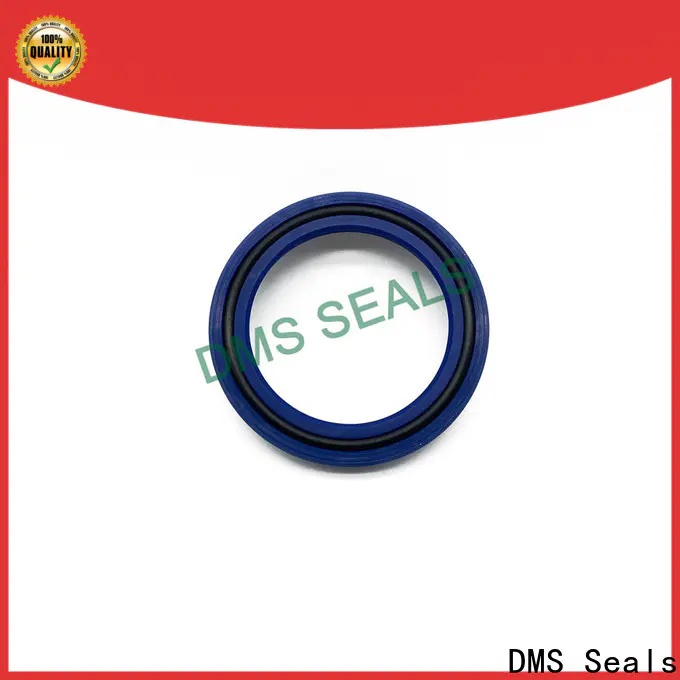 DMS Seals DMS Seals cylinder packing kits for sale