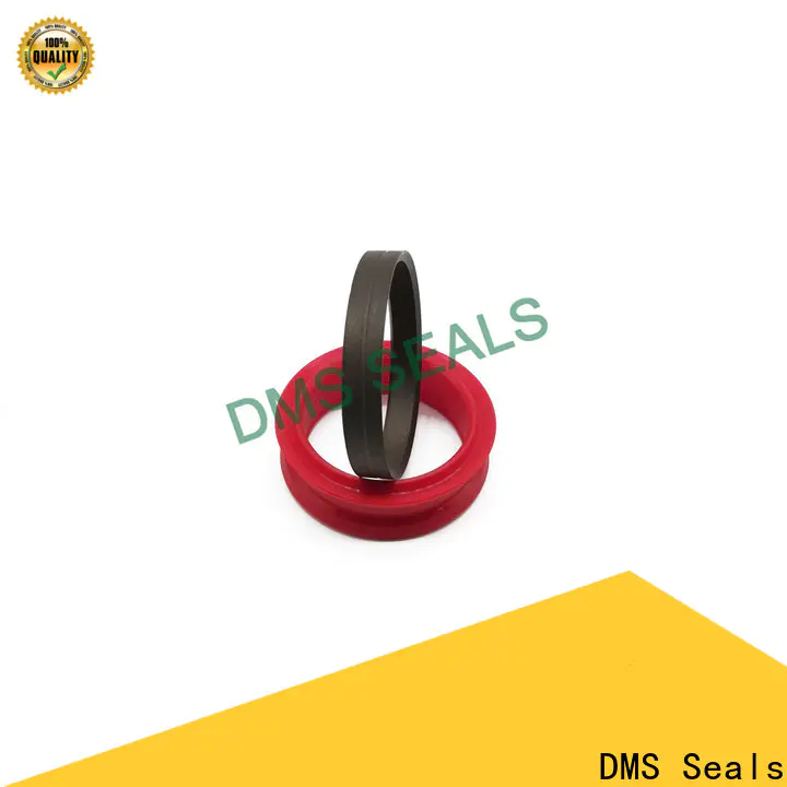 DMS Seals glyd ring supply for piston and hydraulic cylinder