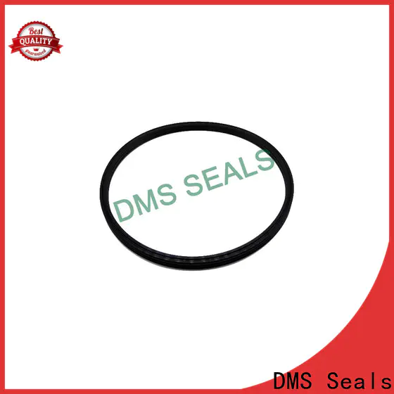DMS Seals Quality seals gaskets suppliers price for larger piston clearance