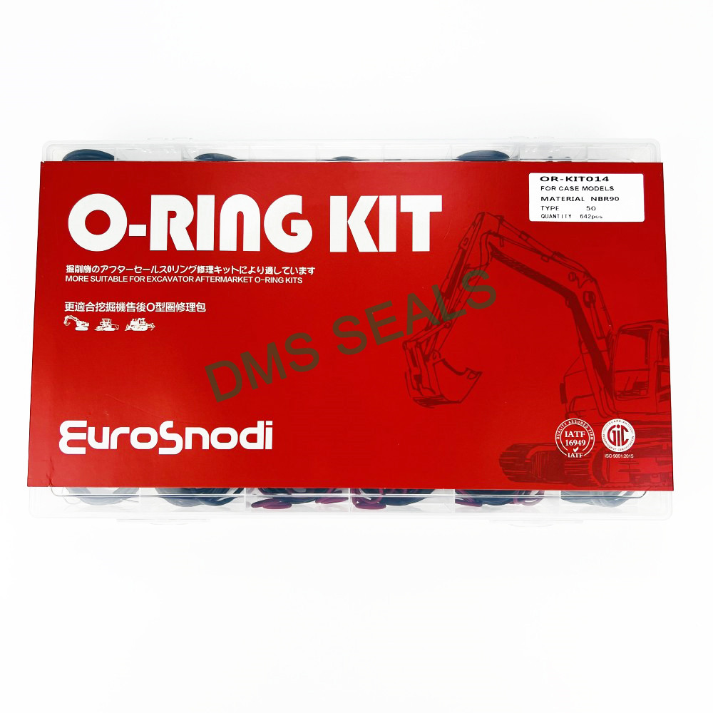 DMS Seals oring kit supplier For sealing-1