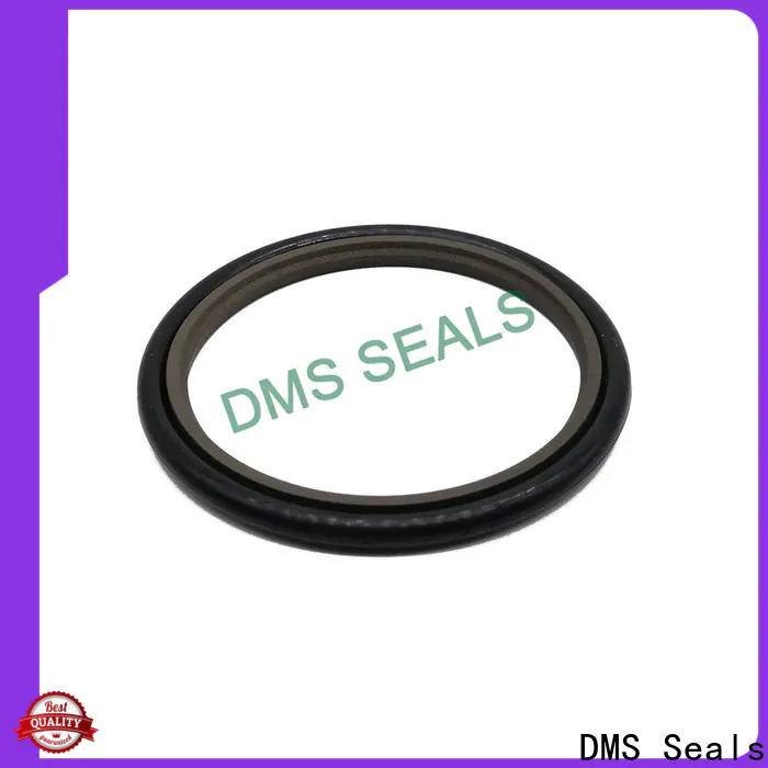DMS Seals Wholesale hydraulic cylinder seals manufacturer for sale