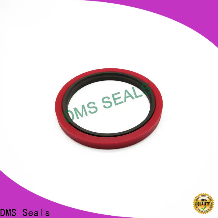 DMS Seals molded seals factory to high and low speed