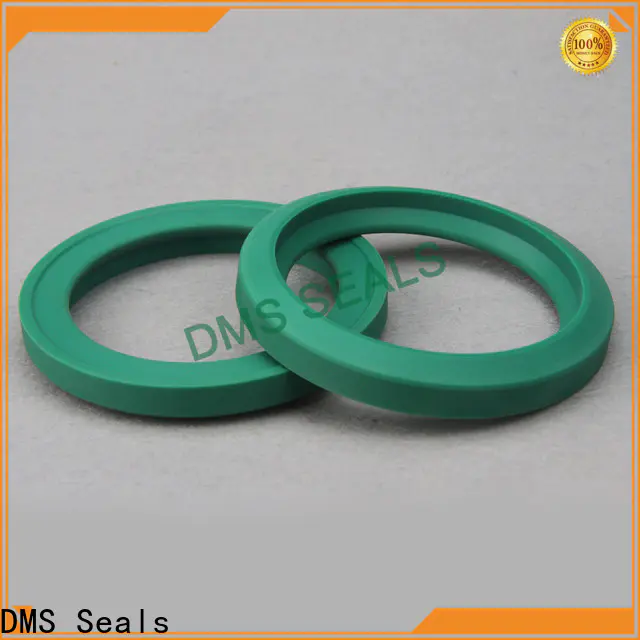 DMS Seals Quality viton oil seal manufacturers supply for piston and hydraulic cylinder