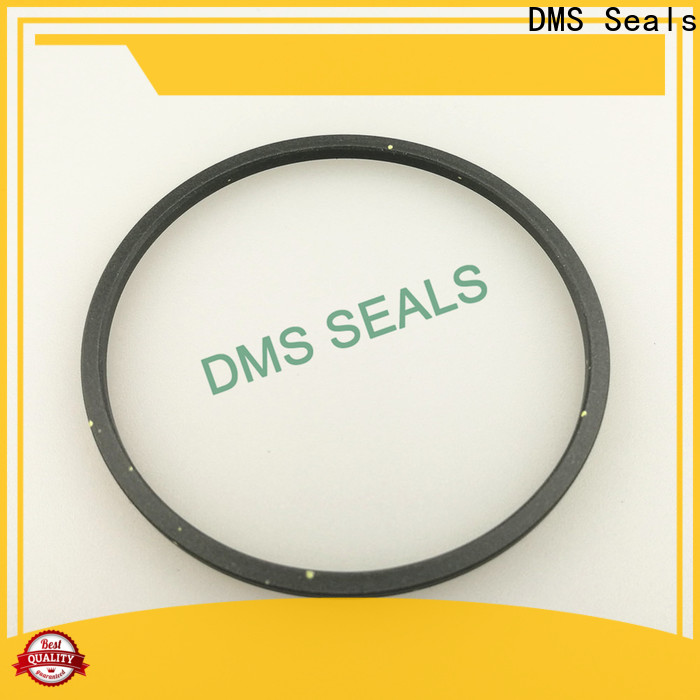 DMS Seals industrial rubber seal vendor for piston and hydraulic cylinder