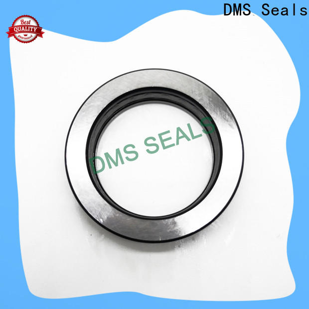 Quality door seal suppliers factory for larger piston clearance