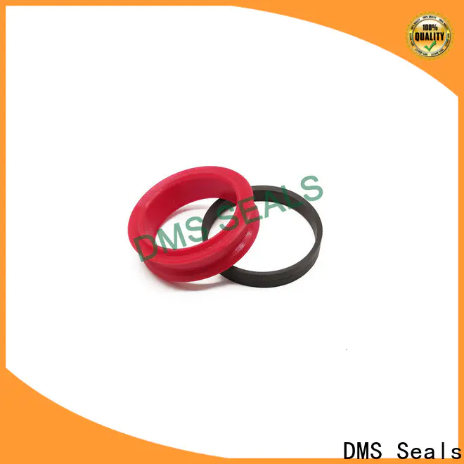 DMS Seals kit seal cylinder supplier for light and medium hydraulic systems