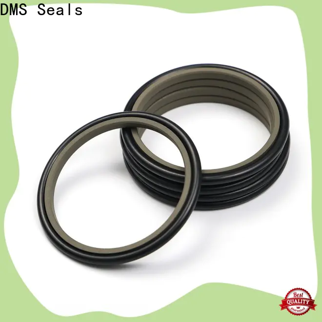 DMS Seals rod seal tool supplier for pressure work and sliding high speed occasions