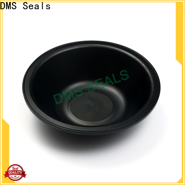 DMS Seals natural rubber seal factory for leakage gap