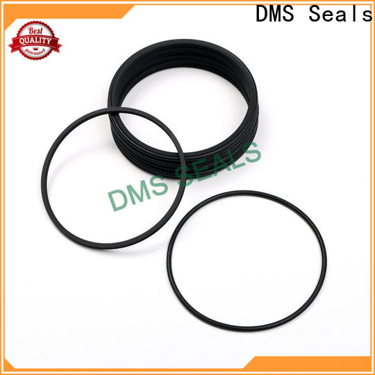 DMS Seals ceramic shaft seal factory price for automotive equipment