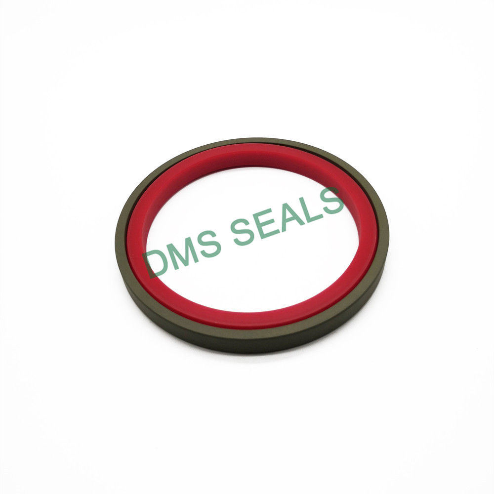 DMS Seals Best shaft wiper seal factory for pressure work and sliding high speed occasions-3