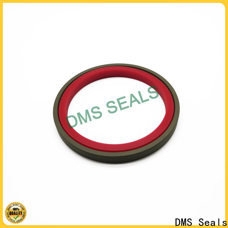 DMS Seals Best shaft wiper seal factory for pressure work and sliding high speed occasions