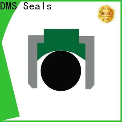 DMS Seals Best air cylinder piston seals price for sale