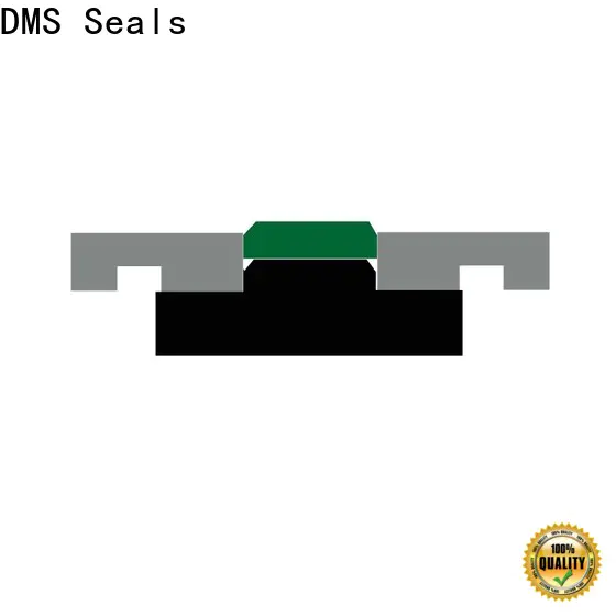 DMS Seals DMS Seals hydraulic rod seal installer company for pneumatic equipment