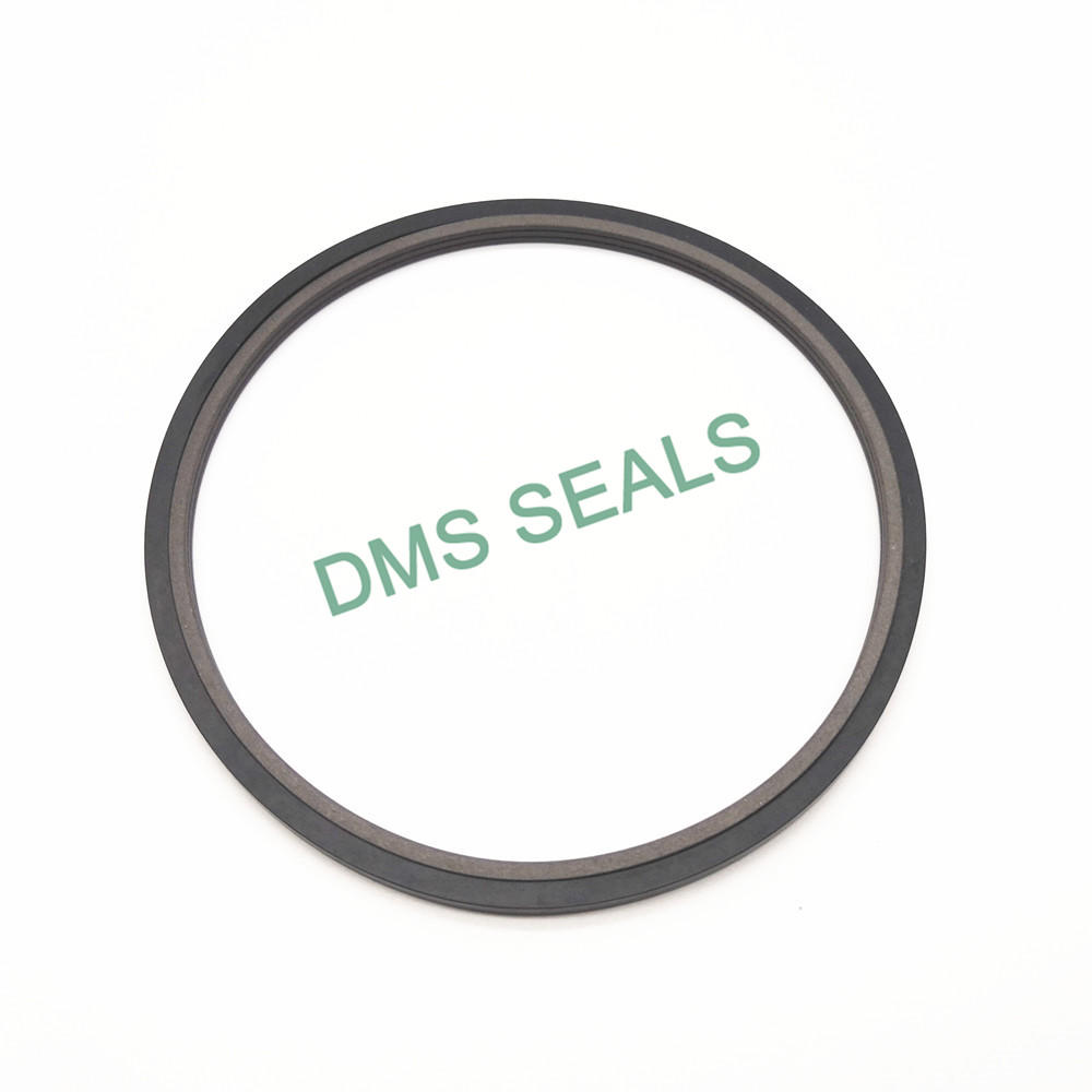 Combination Seals for Heavy Duty Shafts Spn Excavator Seals