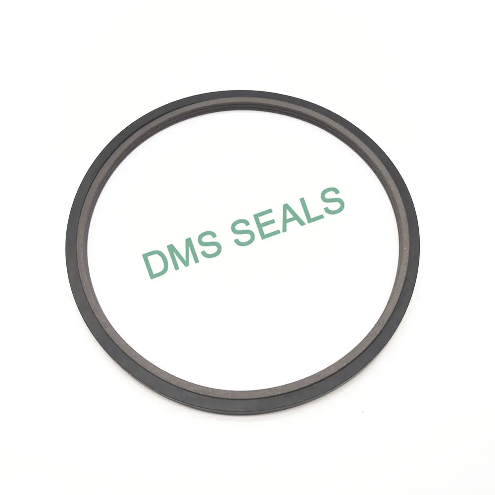 High Quality PTFE Carbon Double-Sided Hydraulic Rod Seal Step Seal Spn Type Piston Rod Seal Wholesale-DMS Seals