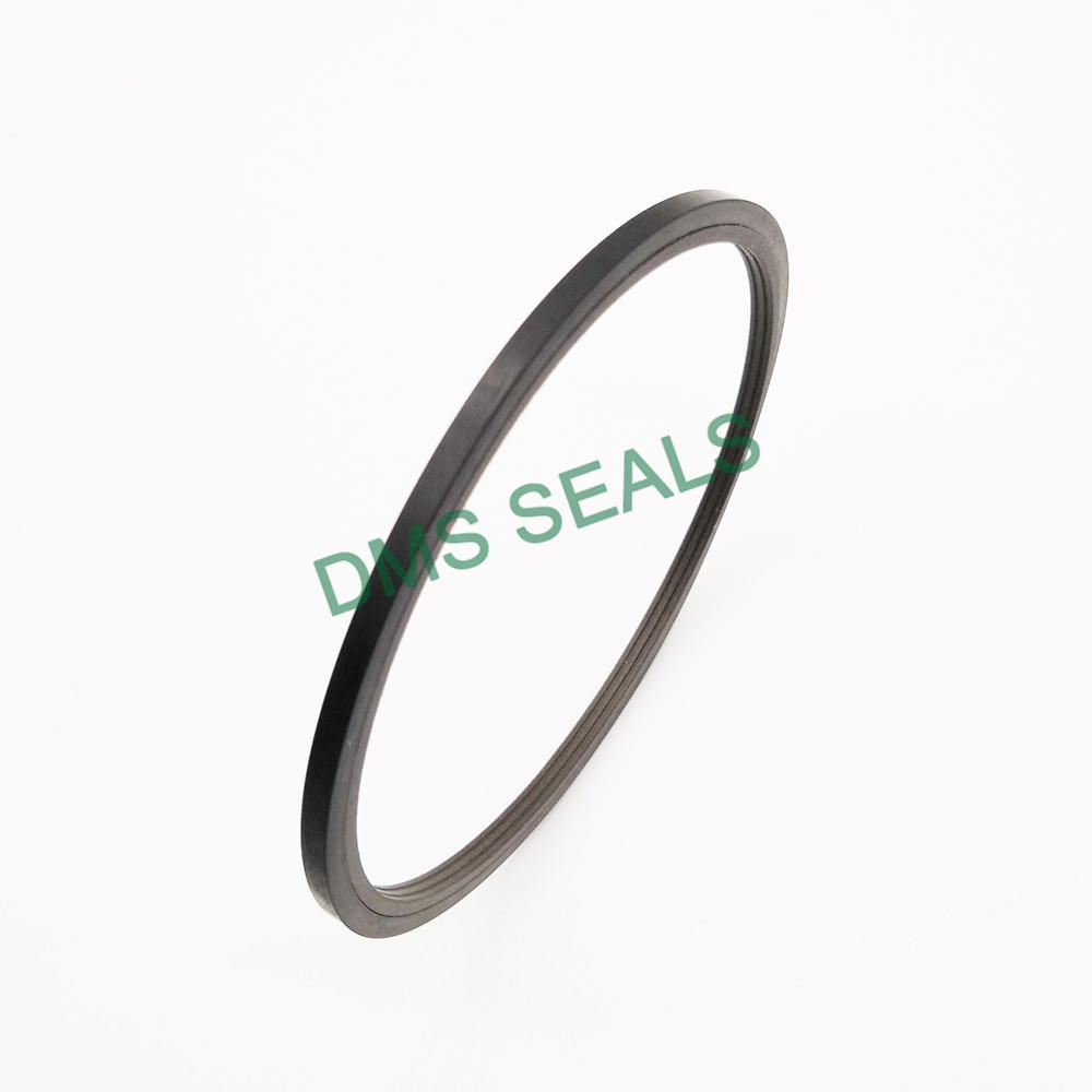 Spn Shaft Seal Ring Piston Rod Heavy Duty Combined Seal