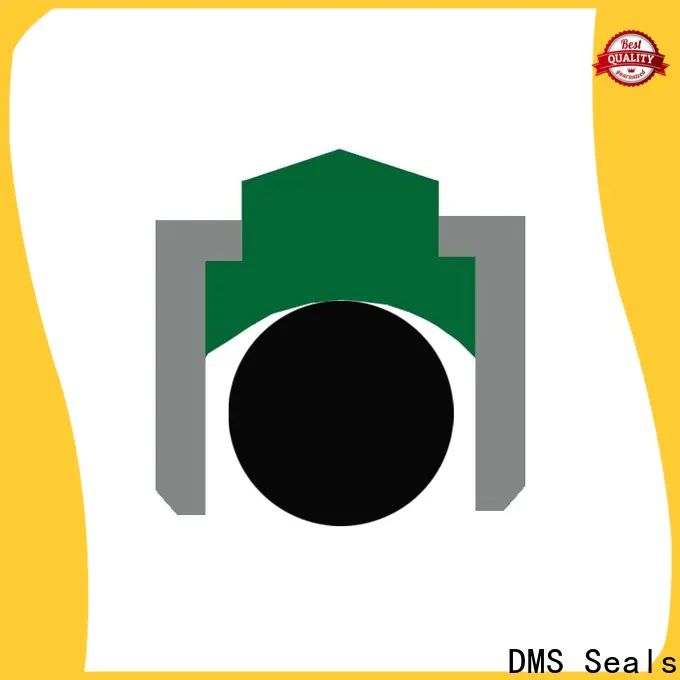 DMS Seals DMS Seals viton rotary shaft seals company for construction machinery