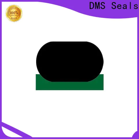 DMS Seals custom oil seals supply to high and low speed