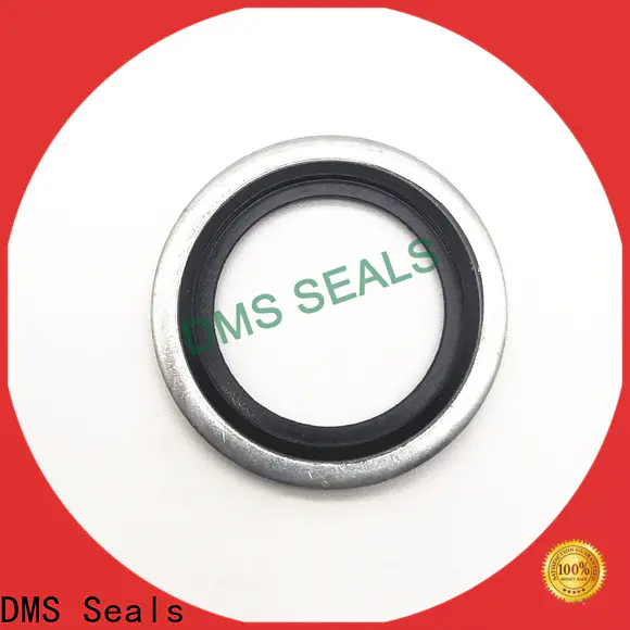 DMS Seals stainless steel dowty washers supplier for threaded pipe fittings and plug sealing