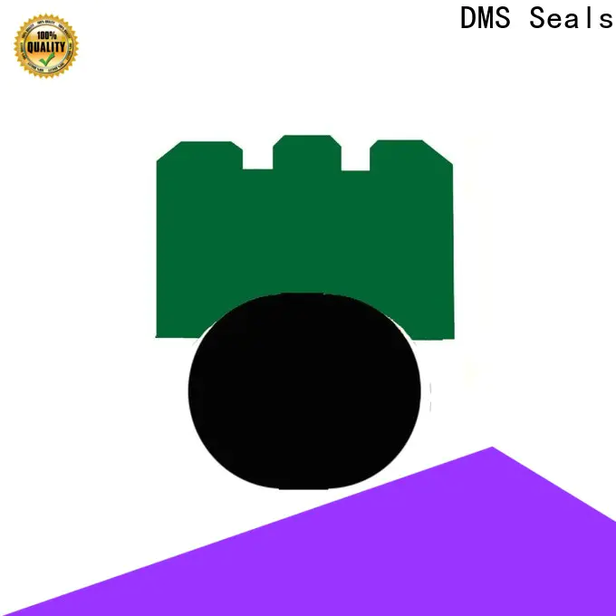 DMS Seals DMS Seals double oil seal factory for automotive equipment