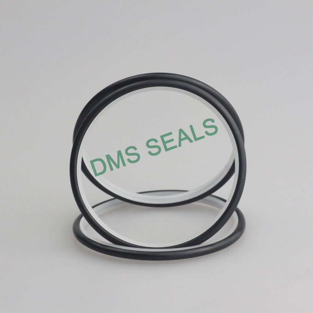 Slipper Seal Spnc Special-Shaped Ring Double Triangle Seal