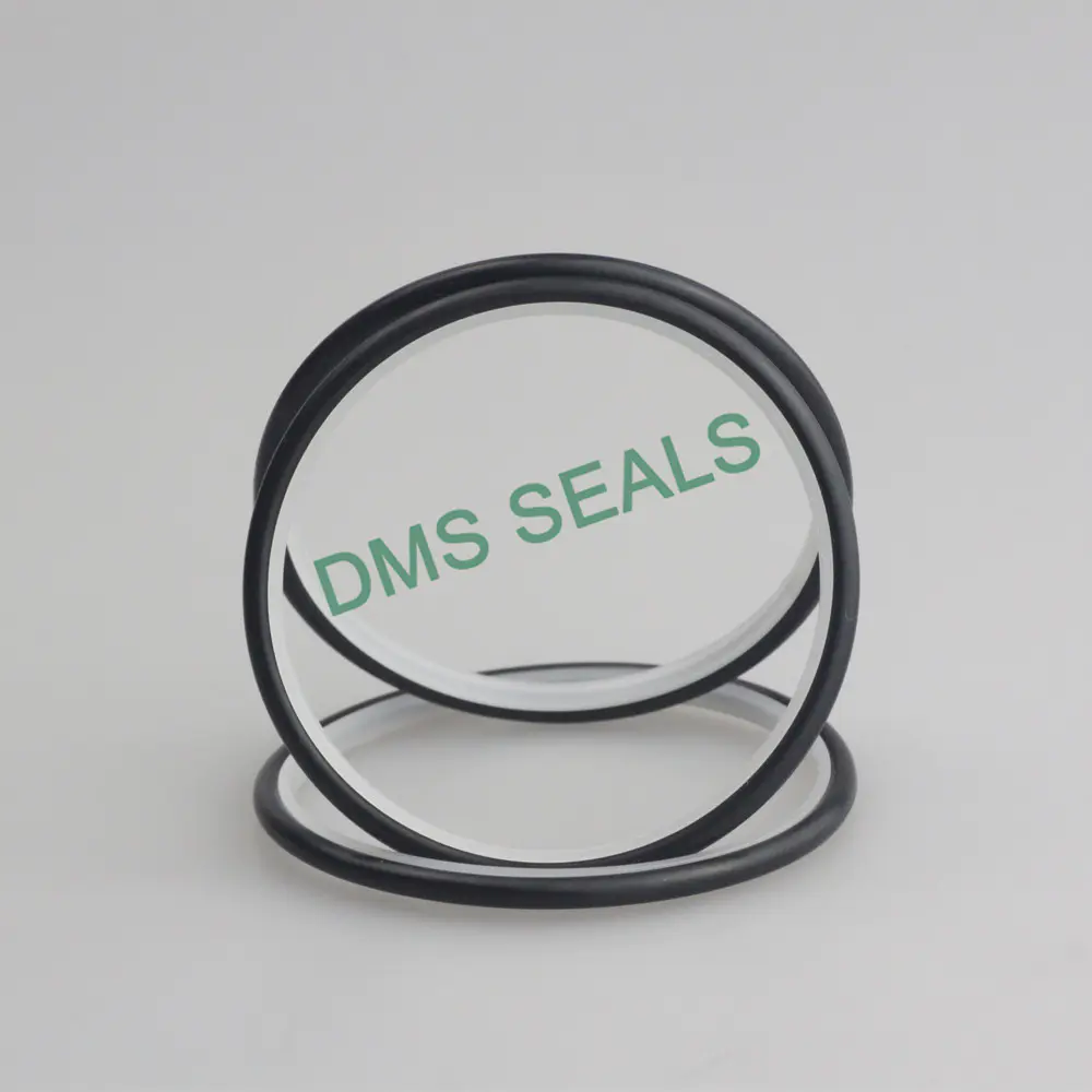 Slipper Seal Spnc Special-Shaped Ring Double Triangle Seal