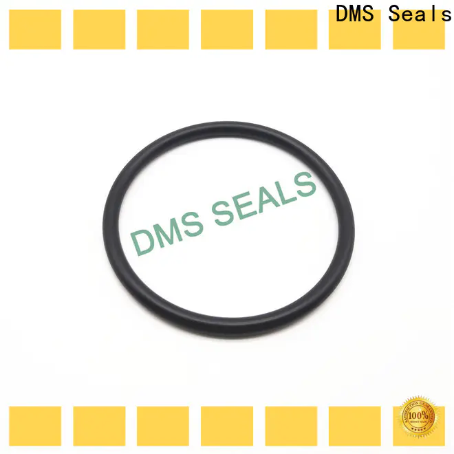 DMS Seals specialty o rings supply in highly aggressive chemical processing