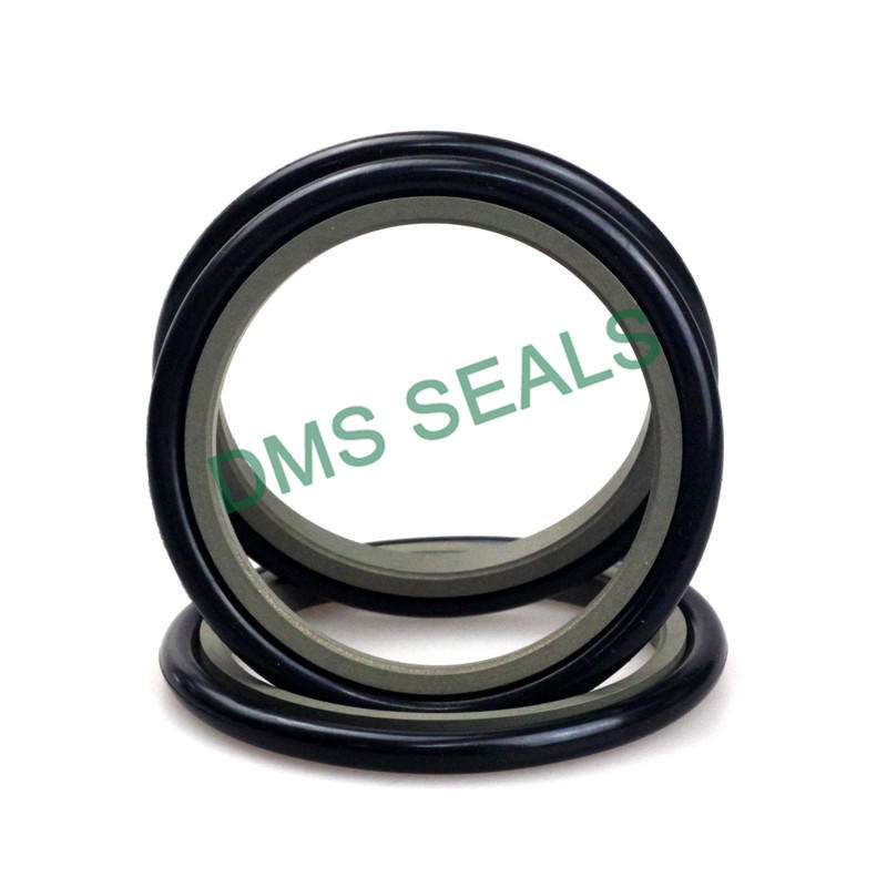 Gzt - High Quality PTFE Hydraulic Rod Seal with NBR/FKM O-Ring