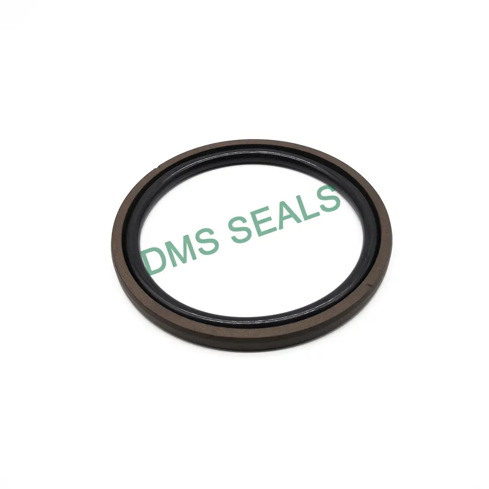 Piston Square Ring Spgo Seal Heavy Duty Glyd Ring