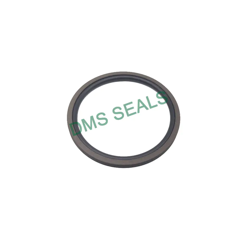 Hydraulic Cylinder Rotating Glyd Ring PTFE Gns Seal